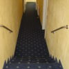 Treppen